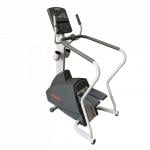 Life Fitness Stepper