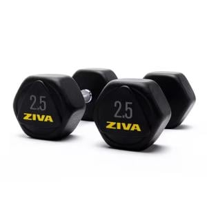 Ziva Performance Hexagon Steel Dumbbell, 2.5 Kg