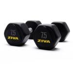 Ziva Performance Hexagon Steel Dumbbell, 7.5 Kg