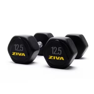 Ziva Performance Hexagon Steel Dumbbell, 12.5 Kg