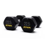 Ziva Performance Hexagon Steel Dumbbell, 22.5 Kg