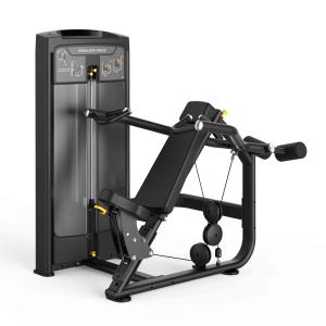 Insight Fitness Re Series Shoulder Press