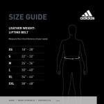 Adidas Performance Weightlifting Belt, S