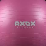 Axox Fitness Anti Burst Gym Ball - 55 cm