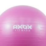 Axox Fitness Anti Burst Gym Ball - 55 cm