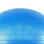 Axox Fitness Anti Burst Gym Ball - 65 cm