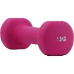 Axox Fitness Neoprene Dumbbells | 1 KG