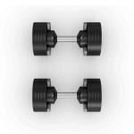 Horizon Adjustable Dumbbell