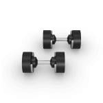 Horizon Adjustable Dumbbell