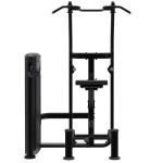 Impulse Fitness Weight Assisted Chin/Dip Combo IT9520